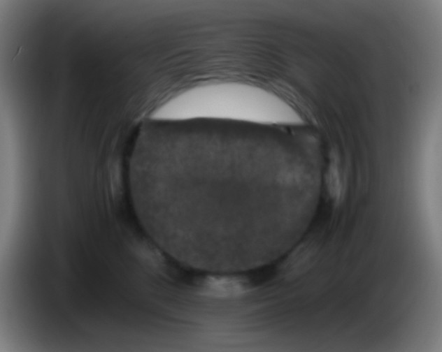 X0000085310520200703302025