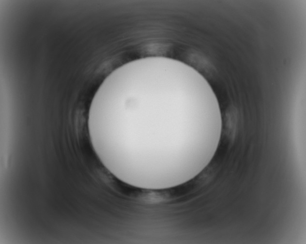 X0000085310522200703302025