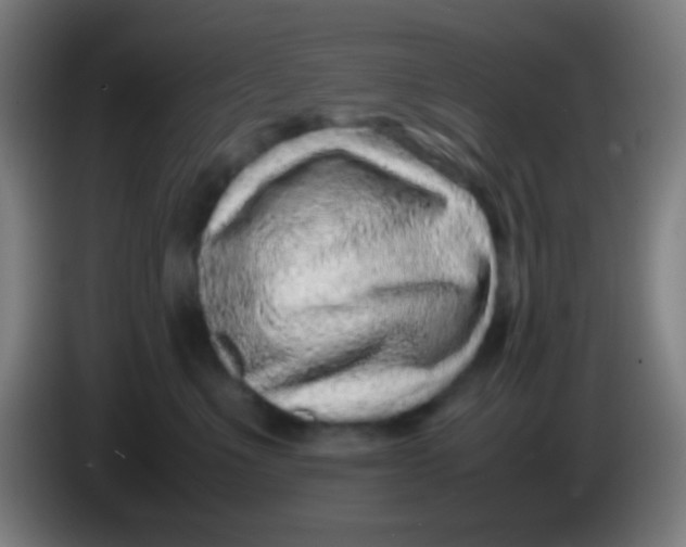 X0000085310523200703302025