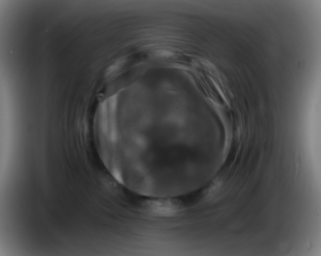 X0000085310524200703302025