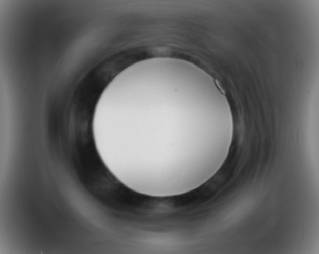 X0000085310525200703302025