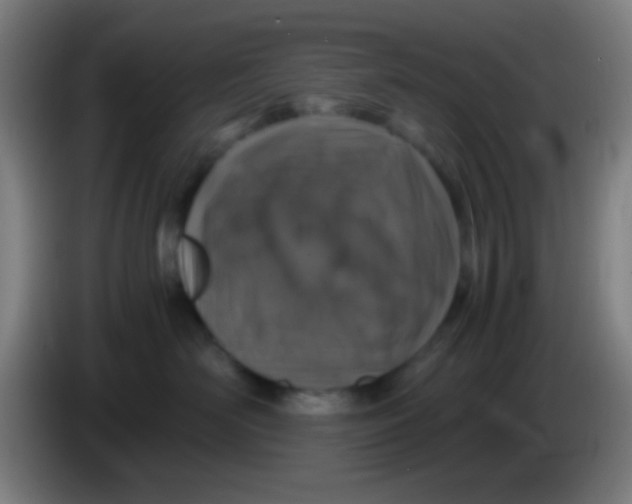 X0000085310526200703302025