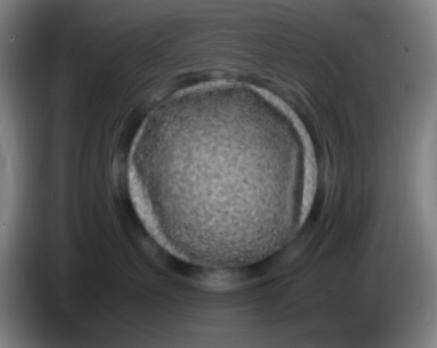 X0000085310527200703302025