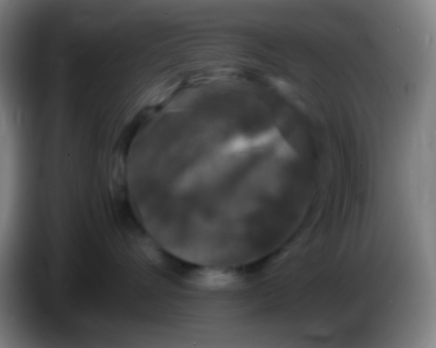 X0000085310528200703302025