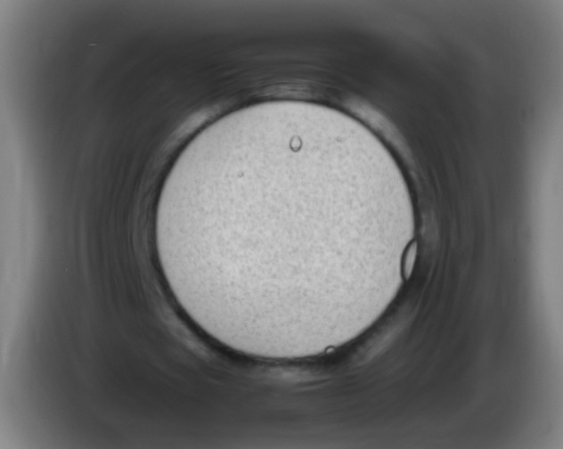 X0000085310529200703302024