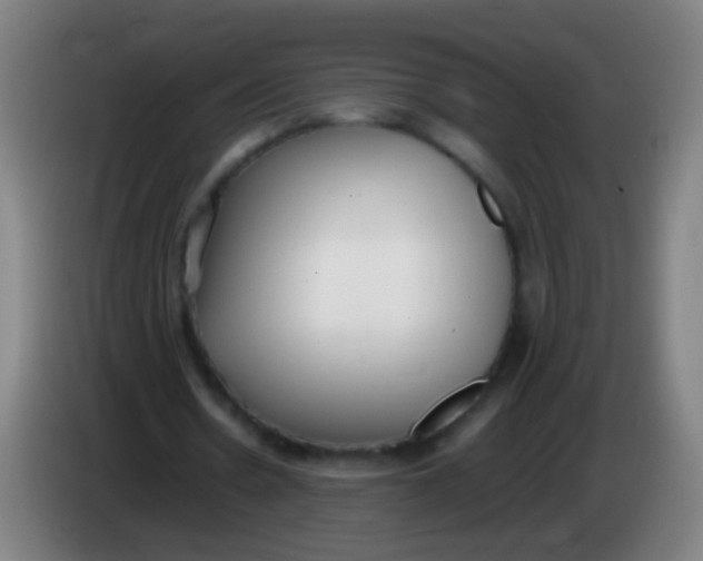 X0000085310530200703302024