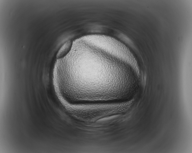 X0000085310531200703302024