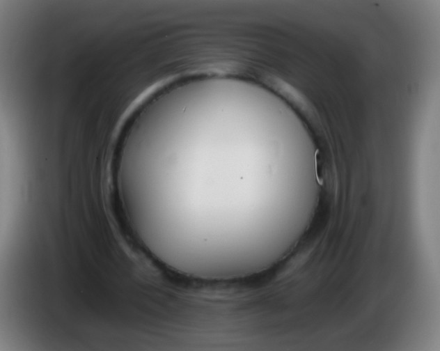 X0000085310532200703302025