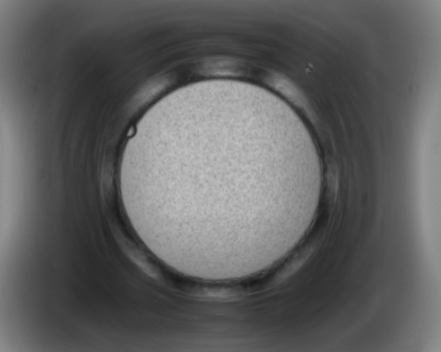 X0000085310533200703302025