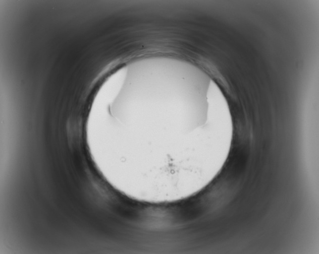 X0000085310534200703302025