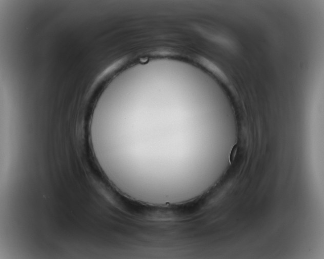 X0000085310535200703302025