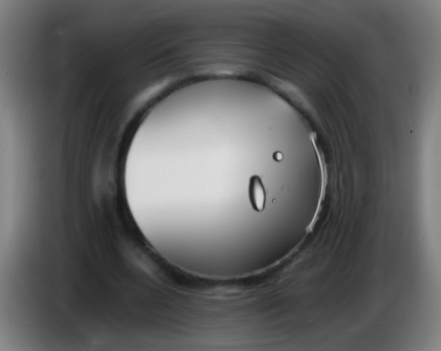 X0000085310536200703302025