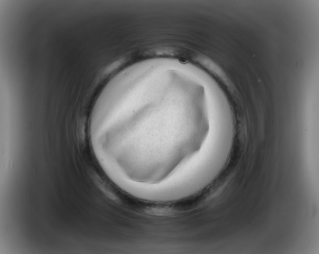 X0000085310537200703302025