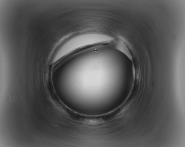 X0000085310540200703302025