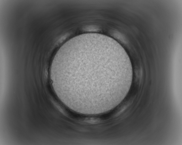 X0000085310541200703302025