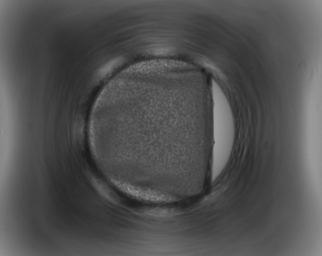 X0000085310542200703302025