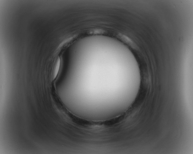 X0000085310543200703302025