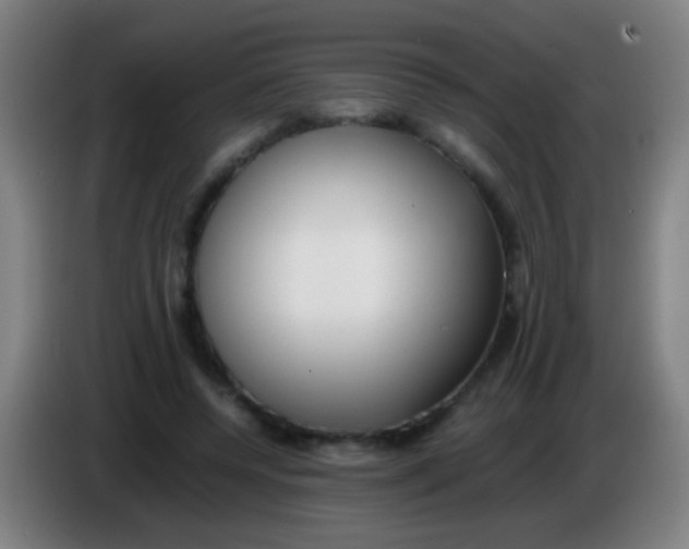 X0000085310544200703302025