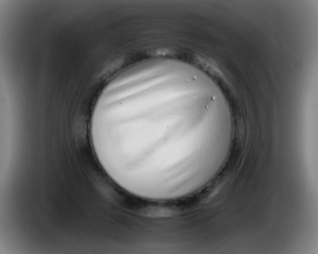 X0000085310545200703302025