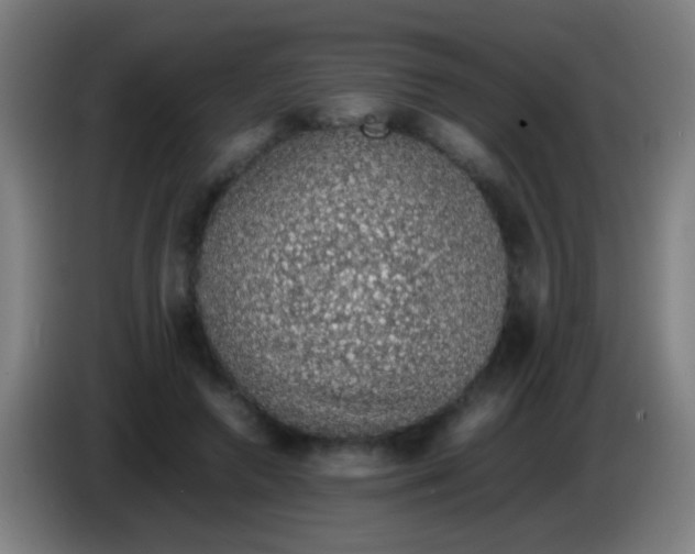 X0000085310546200703302025