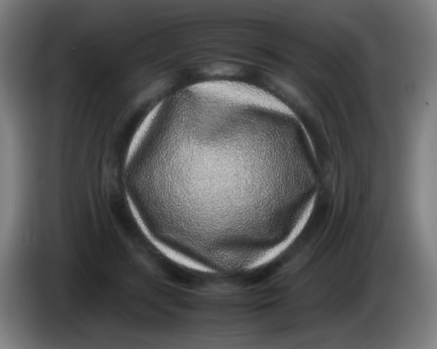 X0000085310547200703302025