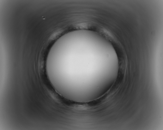 X0000085310548200703302025