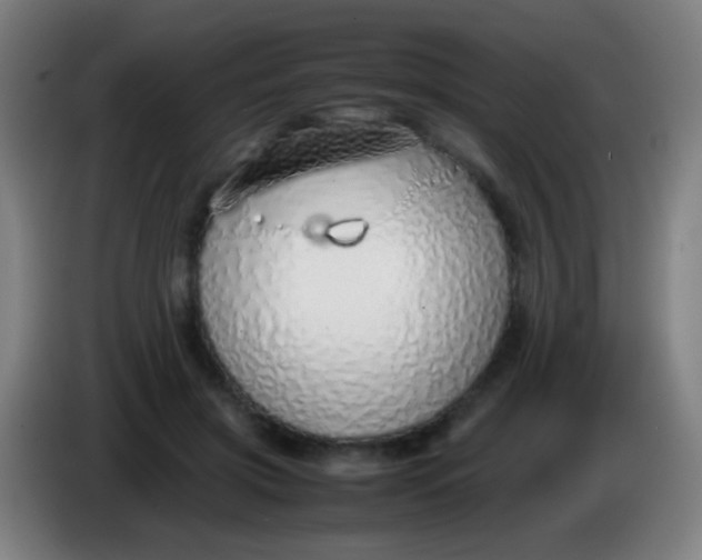 X0000085310549200703302025