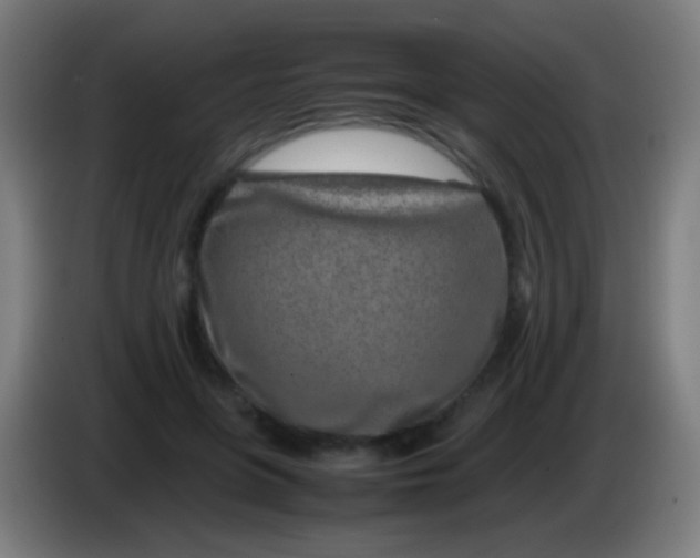 X0000085310551200703302025