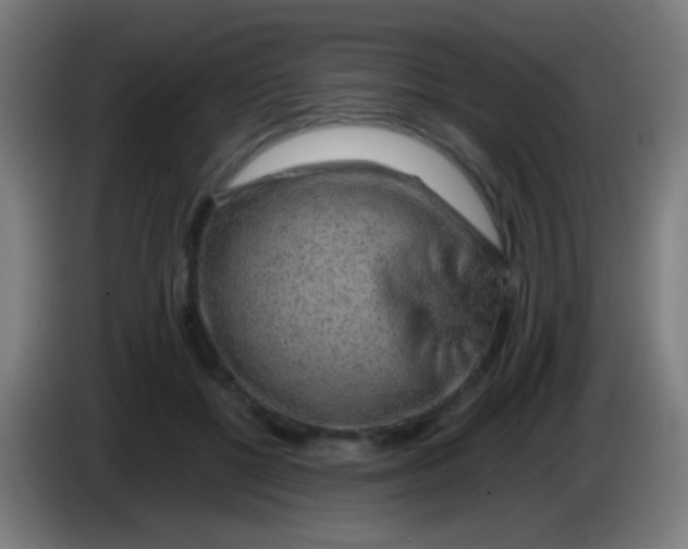 X0000085310552200703302025