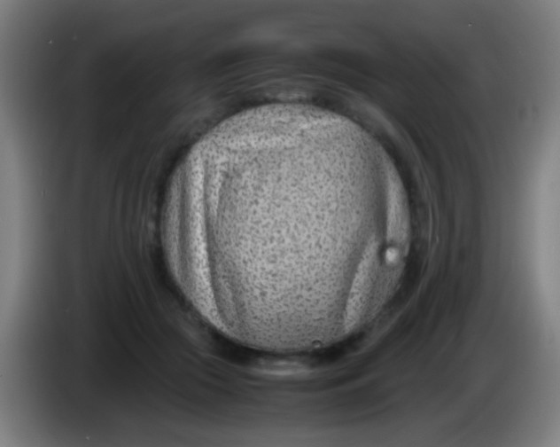 X0000085310553200703302025