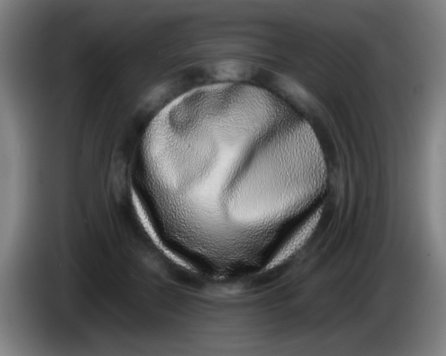 X0000085310554200703302025