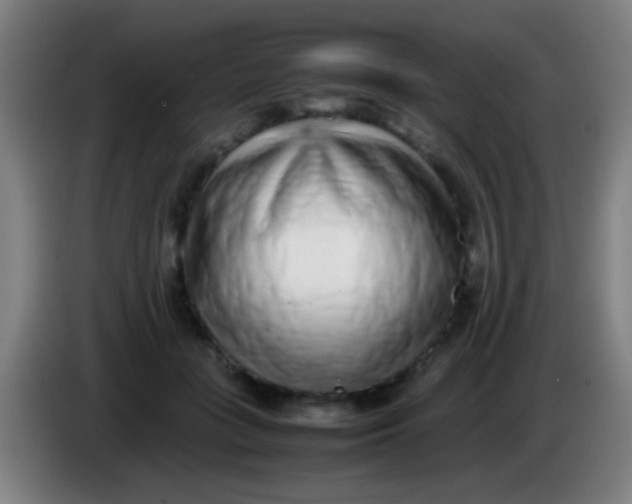 X0000085310555200703302025