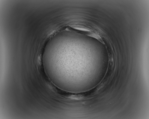 X0000085310556200703302025