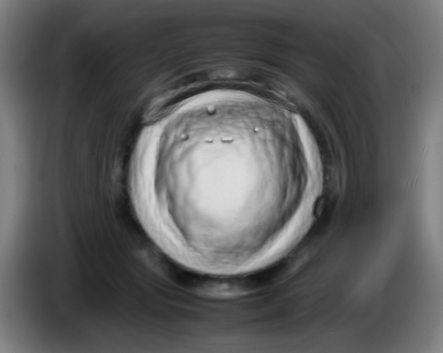 X0000085310557200703302025