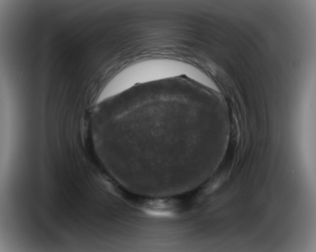 X0000085310558200703302025