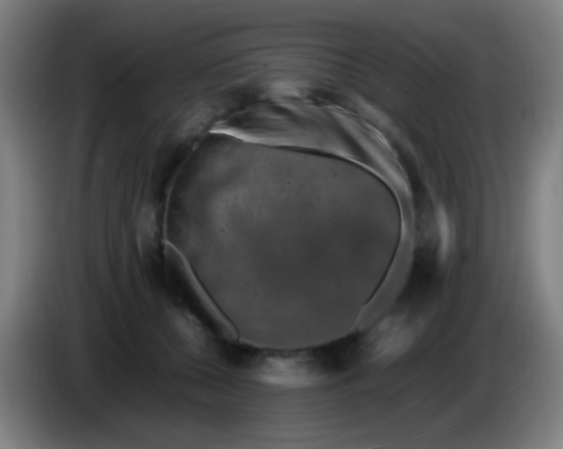 X0000085310560200703302025