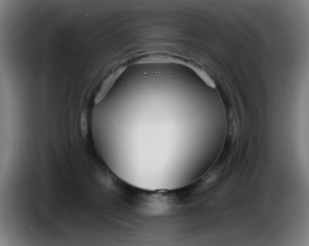 X0000085310562200703302025