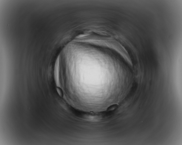 X0000085310563200703302025