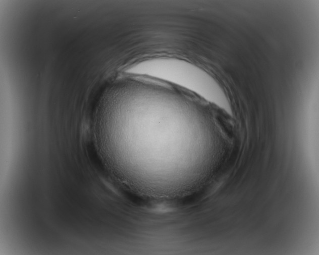 X0000085310564200703302025