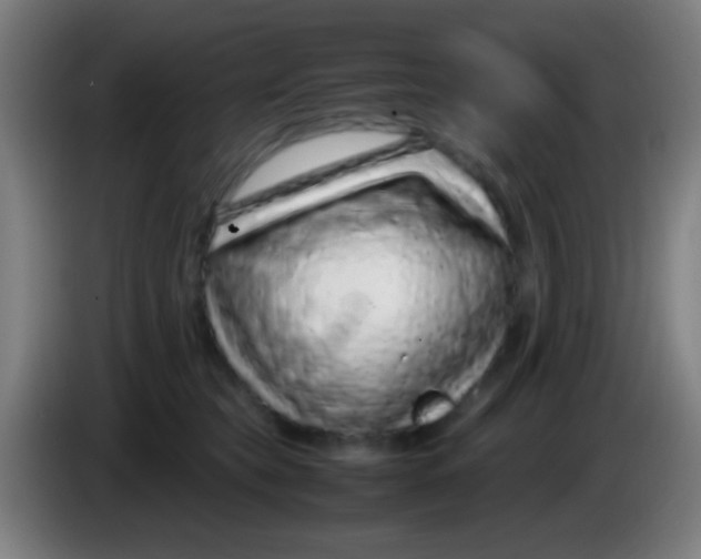 X0000085310565200703302025