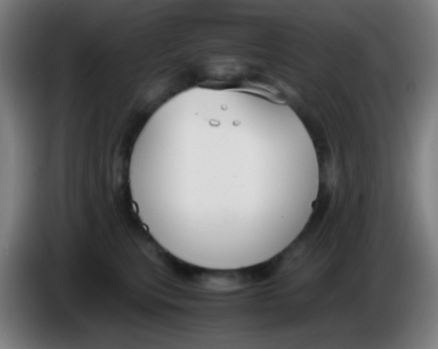 X0000085310567200703302025