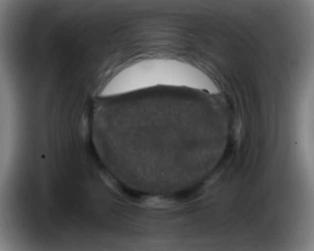 X0000085310568200703302025