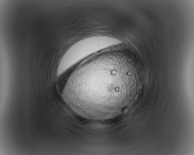 X0000085310569200703302025