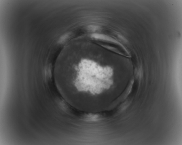 X0000085310570200703302025