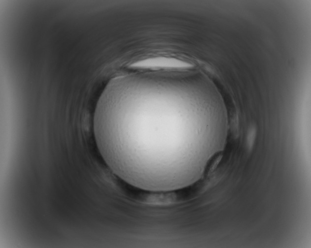 X0000085310571200703302025