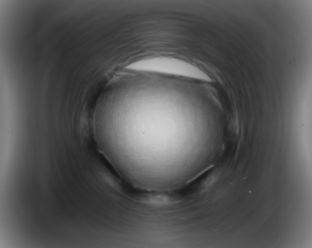 X0000085310572200703302025