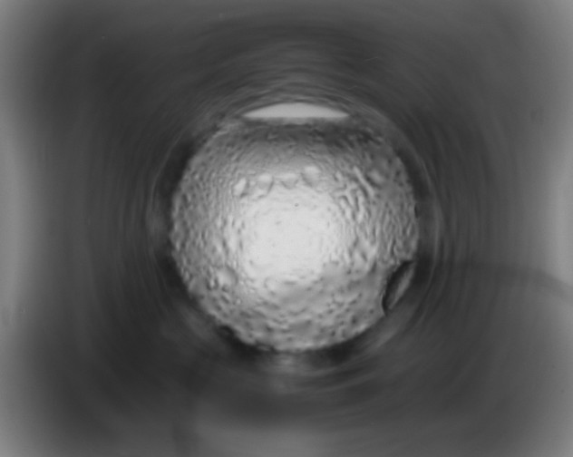 X0000085310573200703302025