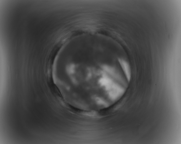 X0000085310576200703302025