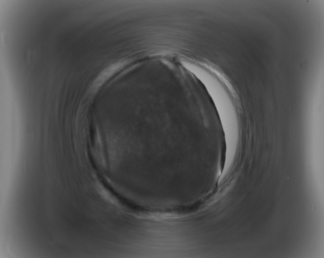 X0000085310577200703302024