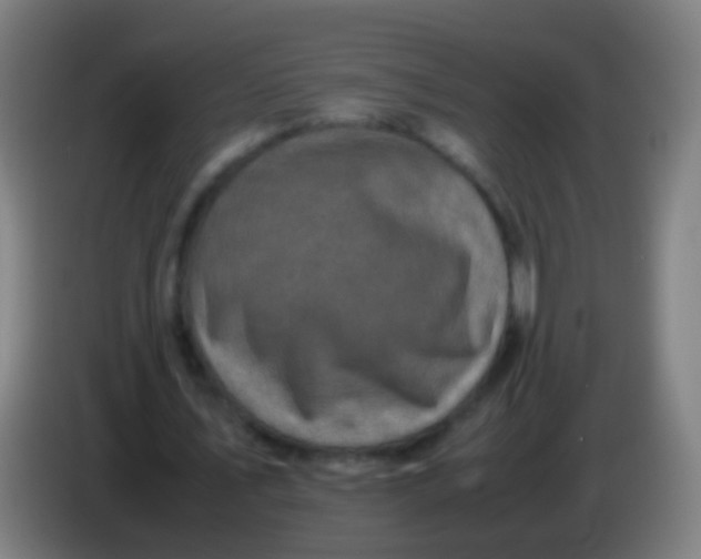 X0000085310579200703302024